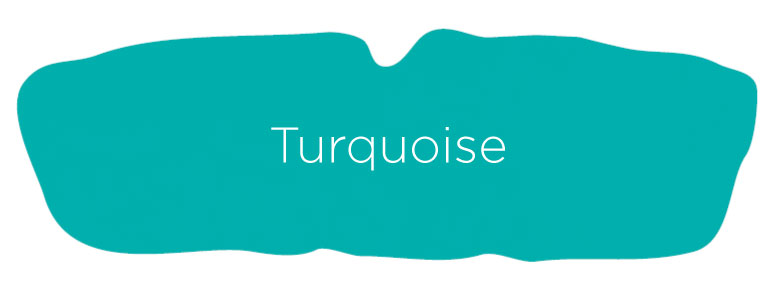 Turquoise-Sports-Guard